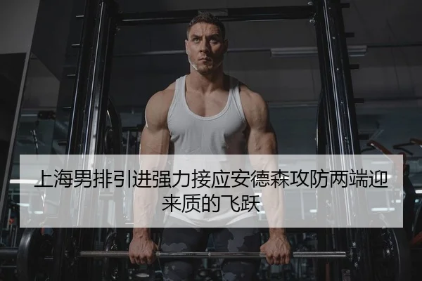 上海男排引进强力接应安德森攻防两端迎来质的飞跃